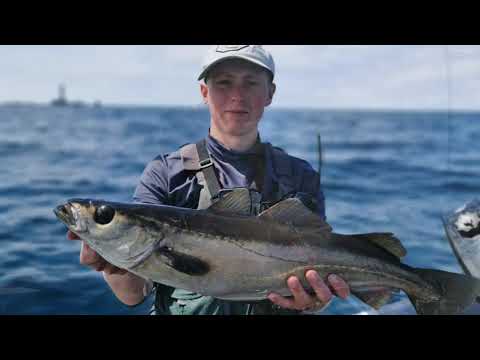 Fisherman holding a large fish