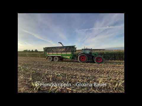 D`Hundskrippln   Gloana Bauer