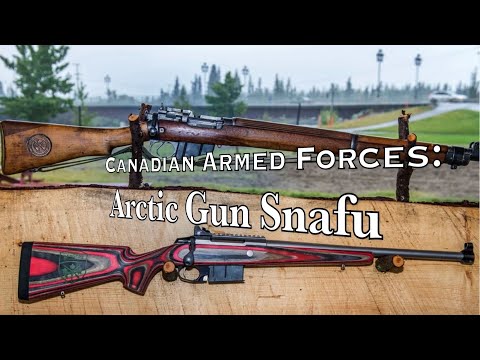 CANADIAN ARMED FORCES: Arctic Gun Snafu