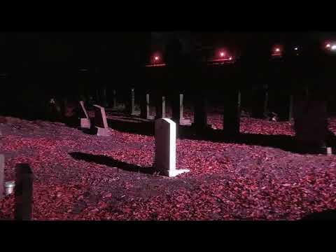 Video thumbnail for ​flowertek