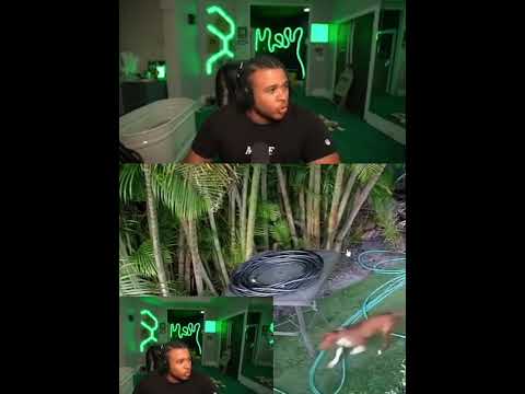 FANUM REACTS TO YOURRAGE INTRUDER!!!