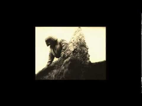 Obsidian Kingdom - Last of the Light