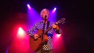 Robyn Hitchcock - Madonna of the Wasps (Live)