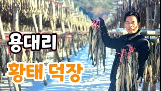 (황태 공동구매) 차례상 올라갈 용대리 최고의 황태 덕장