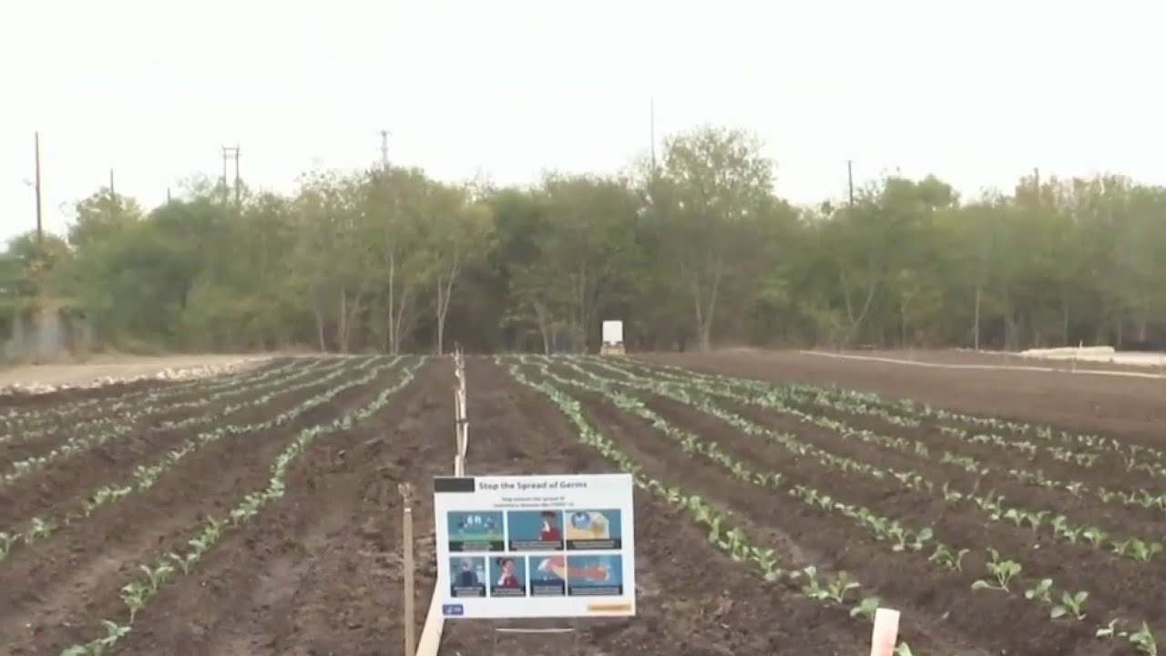 Bexar County officials break ground on new urban farm