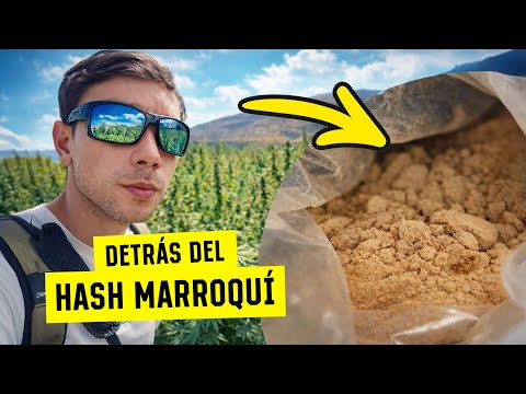 House of Weed and World Breeders