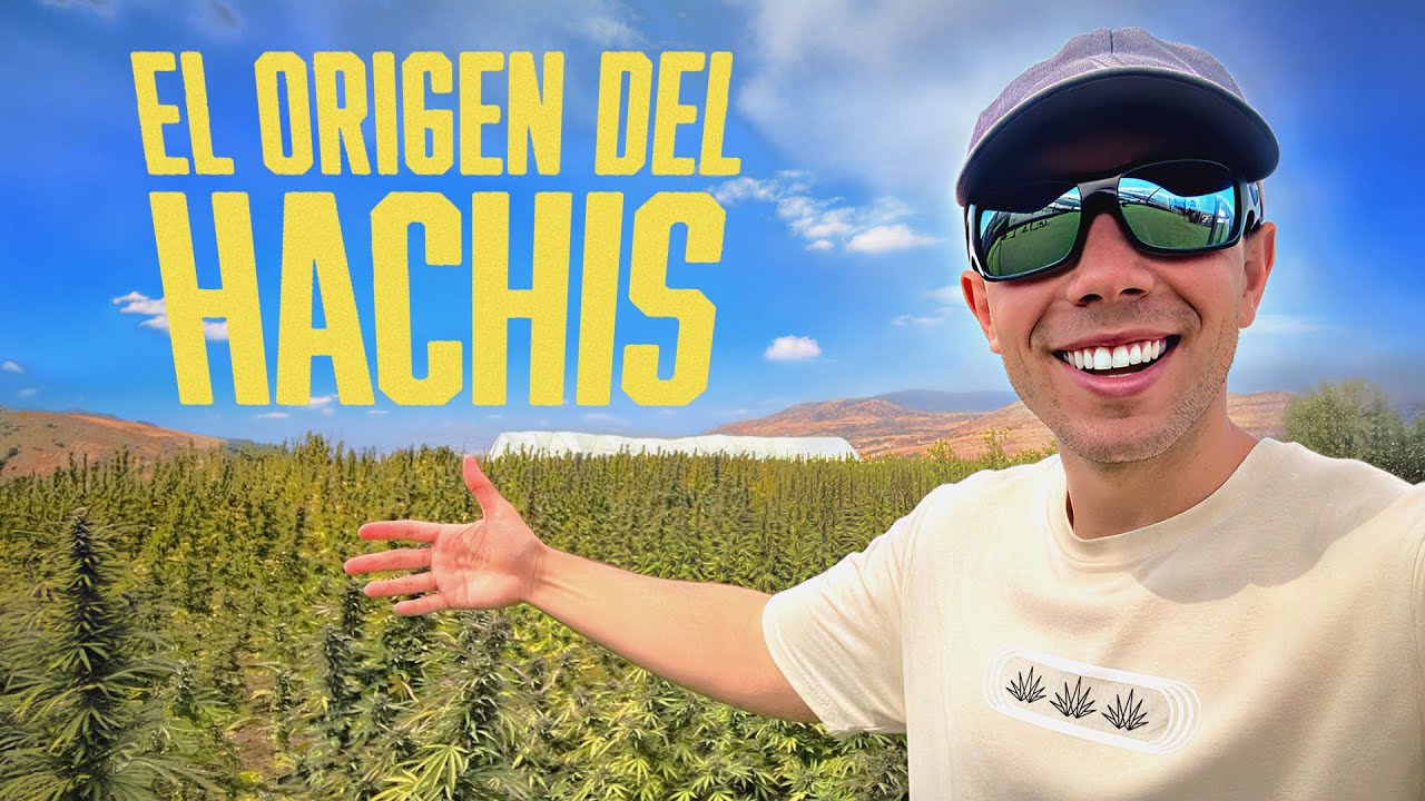 Así se Cultiva en las Montañas del Rif, Marruecos I Viajé con @World.Breeders