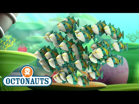@Octonauts - The Humuhumunukunukuapua’a | Full Episode 49 | @Kidzuko