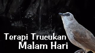 Download lagu TERAPI TRUCUKAN STRES / TERAPI TRUCUKAN MALAM HARI dengan SUARA AIR mp3 Download lagu TERAPI TRUCUKAN STRES / TERAPI TRUCUKAN MALAM HARI dengan SUARA AIR mp3
