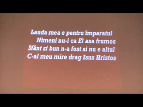 puiu chibici-sunt un mesager