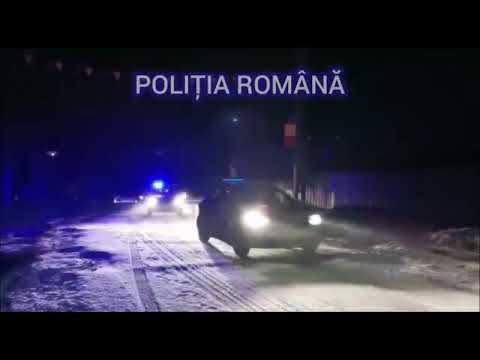 Bacau: Perchezitii in comuna Ungureni, la persoane banuite de taieri ilegale de lemn