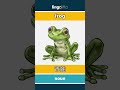 frog - 青蛙 video thumbnail