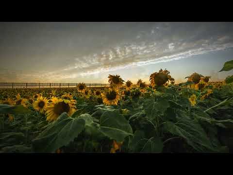 дорога чуйский тракт, алтайский край