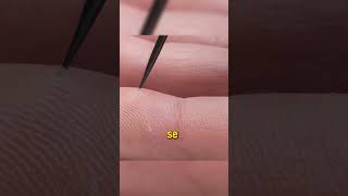 Como Porcos-Espinhos Soltam os Espinhos? #curiosidades #natureza #animais