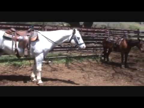 Cazare Ocna Sibiului - Cazat.ro