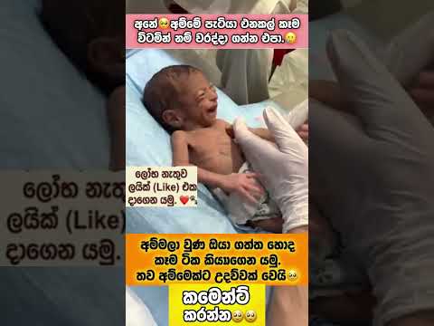 අනේ🥹කිරි කැටියා🥹#sinhalatrending #love #reels #feedshorts #baby #love #trending