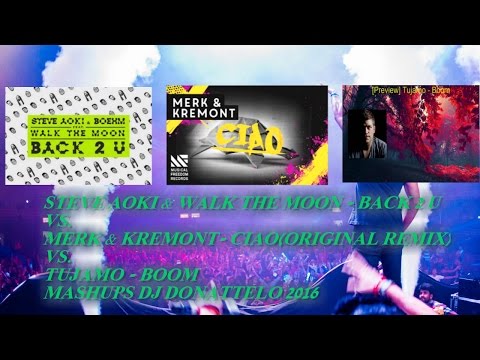 STEVE AOKI  - BACK 2U VS. MERK & KREMONT - CIAO VS TUJAMO - BOOM ( DJ DONATTELO 2016 )