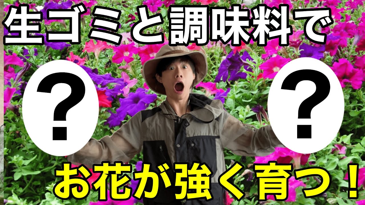 【捨てるのはもったいない！】どの家庭にもある〇〇を合わせるだけでお花を強くする液体肥料を作ります【園芸】【ガーデニング】【葉活酢】