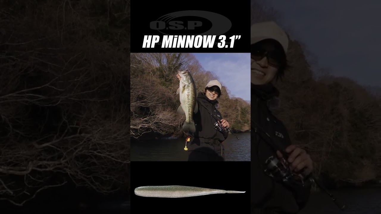 HPミノー3.1"のスイベルキャロでグッドサイズをキャッチ！【冨沢真樹 in 相模湖】