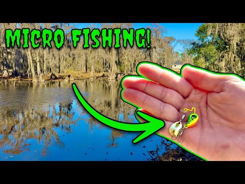 Winter Micro Fishing With TINY Lures! (Will They Work???)
