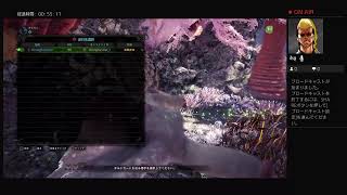 MHW初めて