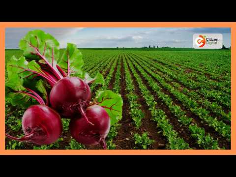 Baadhi ya wabunge na maseneta wataka bajeti ya sekta ya kilimo iongezwe