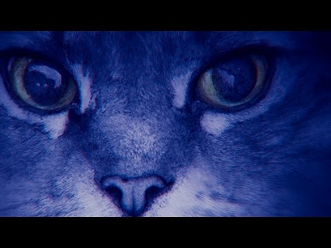 BEATPORT : Top 25 Deep House : week46/2016 recap