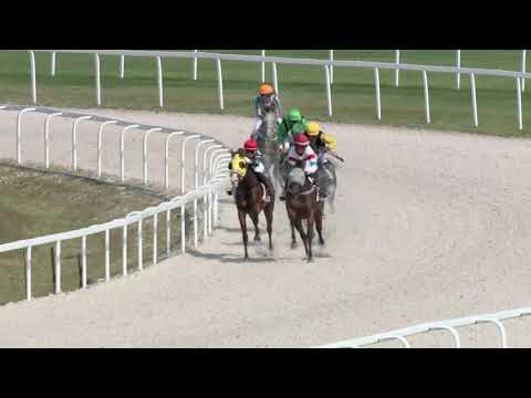 2019.08.25. 03. futam - SOPRONI HENDIKEP (IV.o.) (szintetikus pálya)