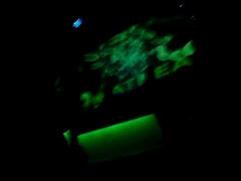 Heatbeat playing Internet Friends@ Studio Crobar (25-02-12)