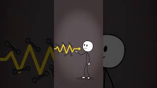 What Your Diaphragm Does When You Hiccup