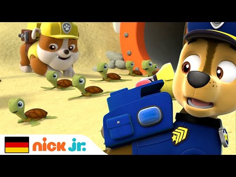 PAW Patrol | Die PAW Patrol rettet Meeresschildkröten! | Nick Jr. Deutschland