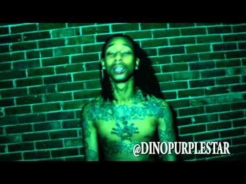 DINO PURPLESTAR -FREESTYLE (VIDEO)