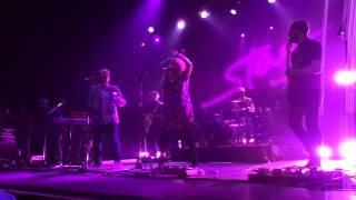 Stars - 08 This is the Last Time