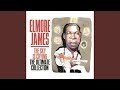 Up Jumped Elmore (Blacksnake Blues) (Alternate Version)