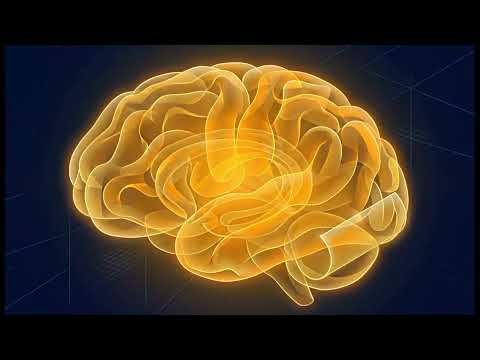 Growth Intelligence Engine demo