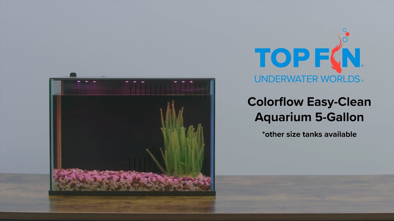 Top Fin Colorflow Easy Clean #Aquarium Setup | YouTube
