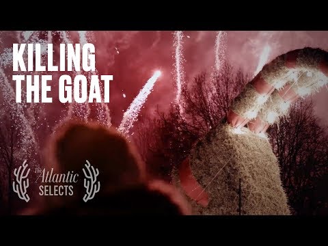 Who Killed Gävle? The Doomed 40-Foot Christmas Goat