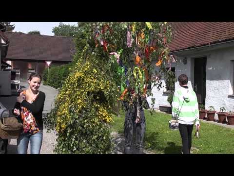 Wasservogel Leitershofen 2012 - Start