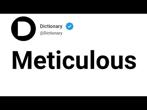 Meticulous Meaning In English