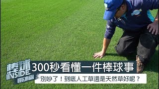 Re: [新聞] 亞太成棒主球場改人工草皮，明年竣工