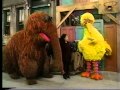 Sesame Street Big Bird Wants A New Name Part 1