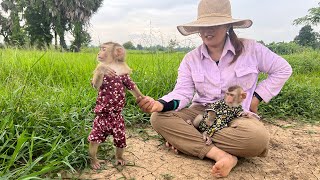 Smart DuDu and BiBi baby monkeys with mom the morning