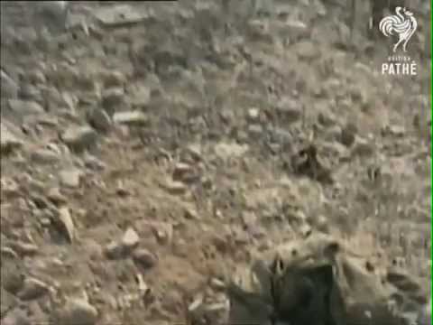 Battle of Tora Bora (2001) | A Day That Shook the World