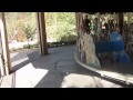 Carousel With Daddy