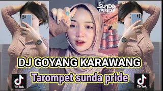 Download lagu DJ GOYANG KARAWANG TAROMPET MIXTAPE ARJUNA PRESENT REMIK SUNDA VIRAL TIKTOK mp3 Download lagu DJ GOYANG KARAWANG TAROMPET MIXTAPE ARJUNA PRESENT REMIK SUNDA VIRAL TIKTOK mp3