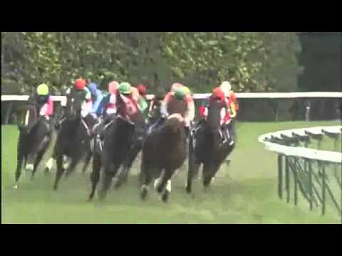 Japan Cup  2011  - Buena Vista makes it ladies day