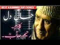 BEST KASHMIRI SUFI SONG HALI DIL BAWAS KALAMI SOPOER RAHIM SEAB SINGER GH AHMAD SOFI