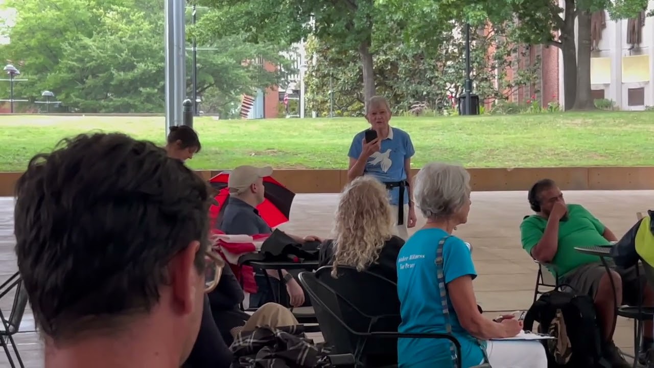 Virginia Rovnyak at peace rally