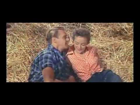 Sept ans de reflexion Bande Annonce