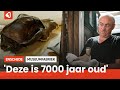 In Depot: de vroegste sporen van bewoning in Twente